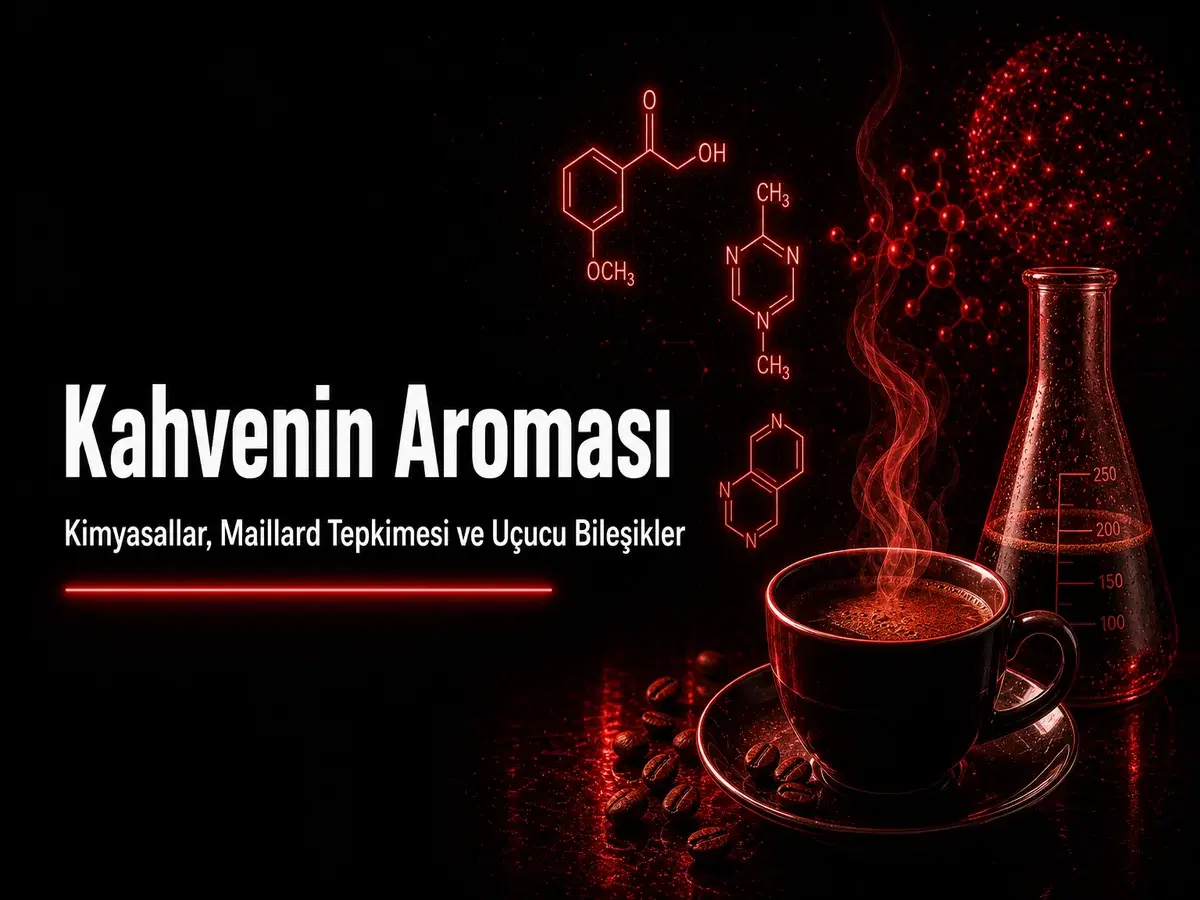 Kahve kavurma, Maillard tepkimesi ve uçucu bileşiklerle aroma oluşumu; TYT organik kimya blog kapak görseli