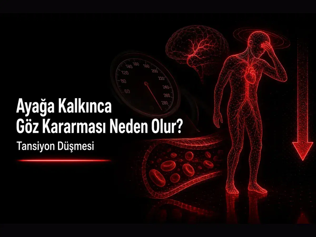 Ayağa kalkınca göz kararması ve baş dönmesi; ortostatik postural hipotansiyon, tansiyon düşmesi ve TYT kimya kapak görseli