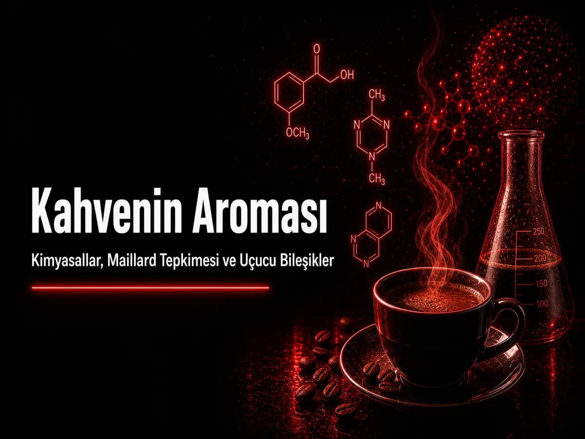 Kahve kavurma, Maillard tepkimesi ve uçucu bileşiklerle aroma oluşumu; TYT organik kimya blog kapak görseli
