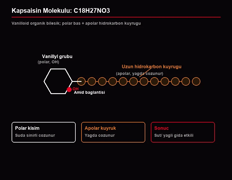 Kapsaisin molekül yapısı şeması: vanillyl polar grup, amid bağlantısı ve apolar hidrokarbon kuyruğu C18H27NO3