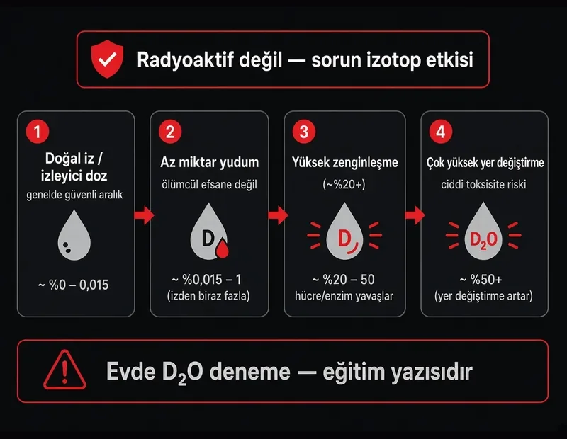 Ağır su içilirse ne olur? Doğal iz, az yudum, yaklaşık yüzde 20 üzeri zenginleşme ve toksisite riski oran ölçeği TYT şeması