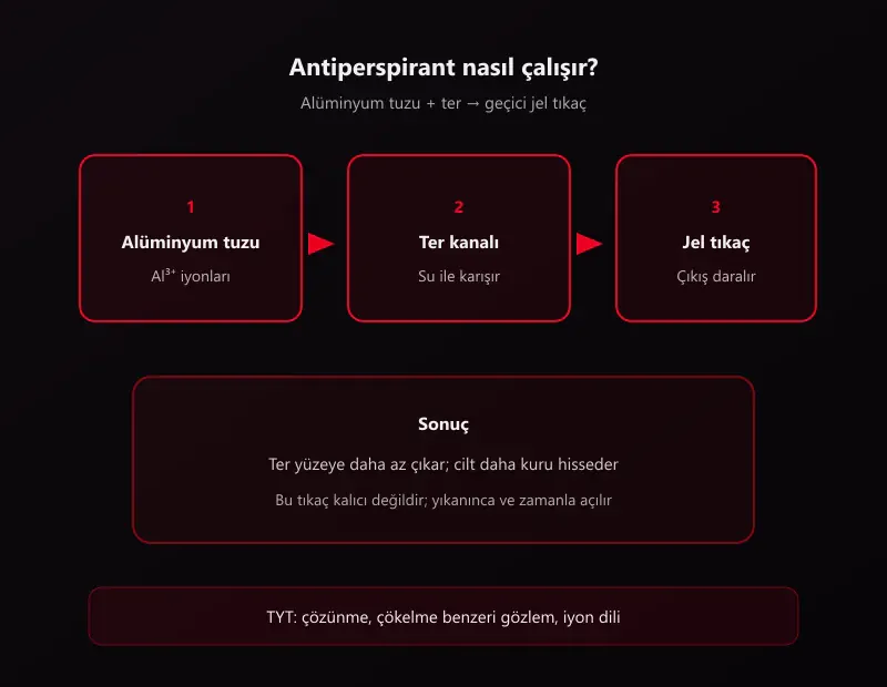 Deodorant ile antiperspirant farkı: antiperspirantta alüminyum tuzu ter kanalında geçici jel tıkaç oluşturur şeması