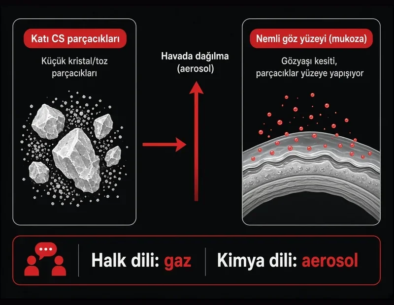 CS gazı gerçek gaz mı aerosol mü: ince parçacıklar, nemli göz yüzeyi ve tahriş başlangıcı şeması