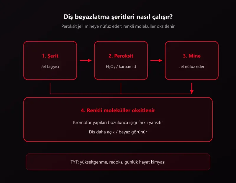 Diş beyazlatma şeritleri nasıl çalışır: şerit, peroksit jeli, mineye giriş ve kromofor oksidasyonu şeması