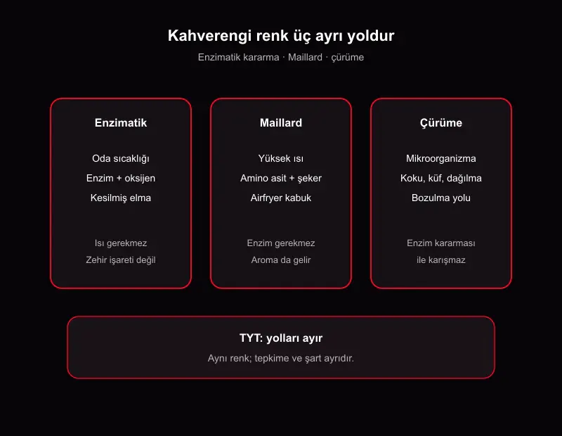 Kesilmiş elma neden kararır: enzimatik kararma, Maillard tepkimesi ve çürüme farkı