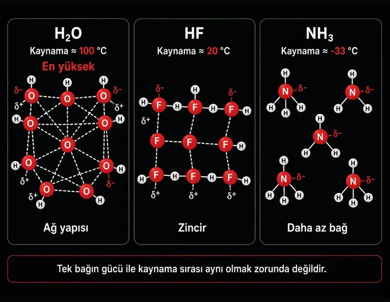 H2O yaklaşık 100 °C, HF yaklaşık 20 °C, NH3 yaklaşık eksi 33 °C kaynama karşılaştırması hidrojen bağı TYT şeması