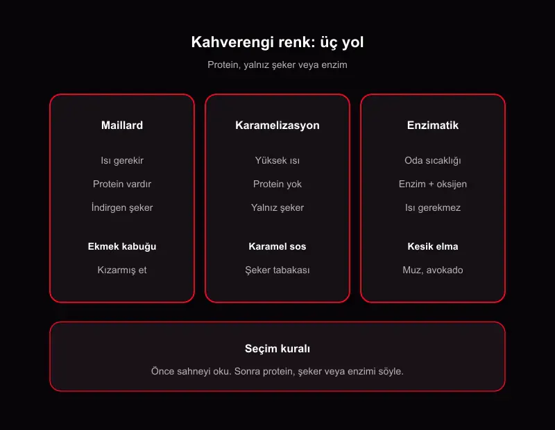 Maillard reaksiyonu örnekleri: karamelizasyon ve enzimatik kararma üç yol şeması