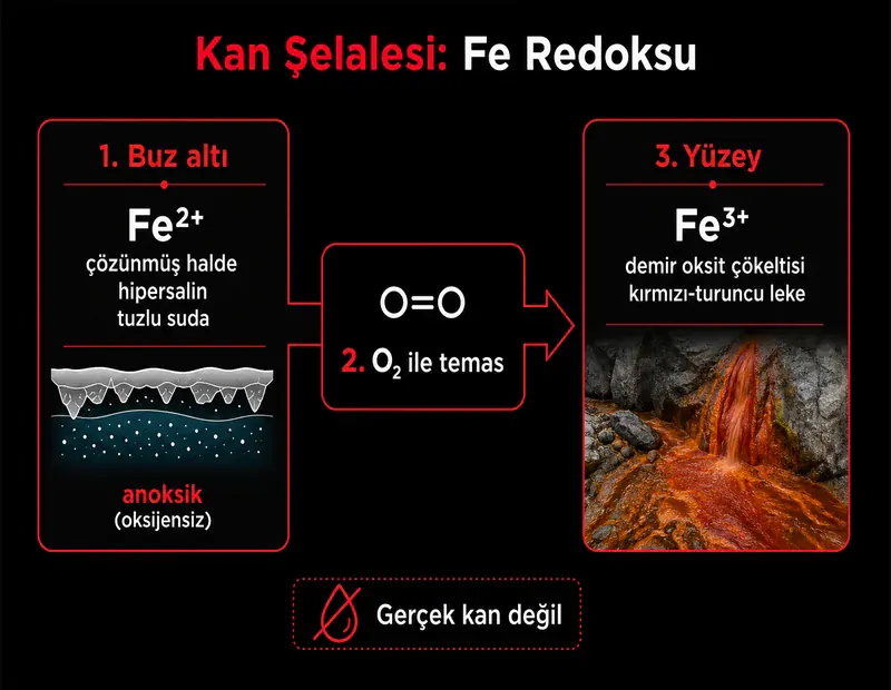 Kan şelalesi şeması: buz altı Fe²⁺ tuzlu su, yüzeyde oksijenle Fe³⁺ oksit oluşumu ve kırmızı leke