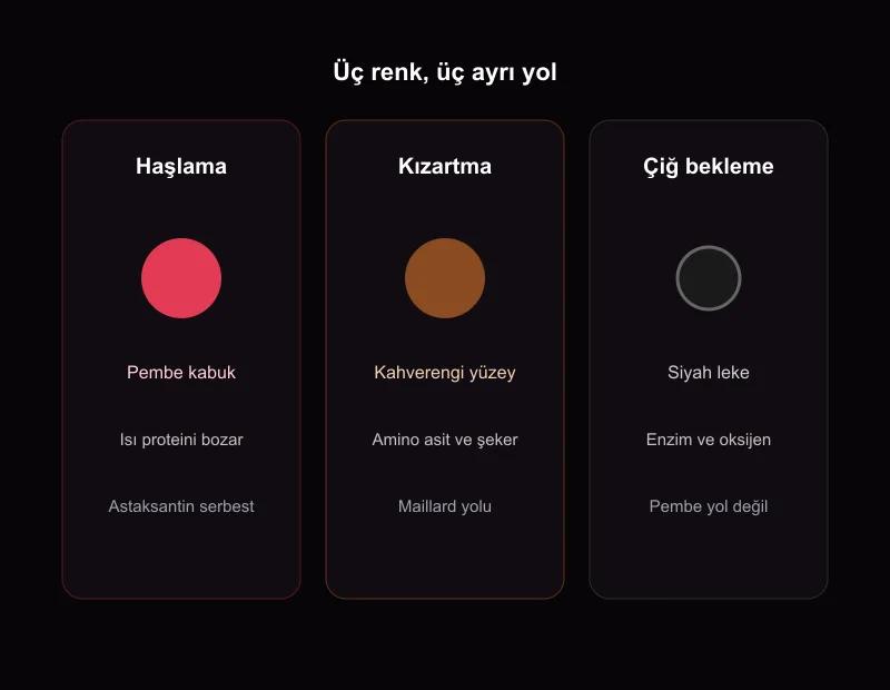 Karides pembesi serbest astaksantindir; kızarmış kahverengi Maillard, çiğ siyah leke ise enzim yoludur