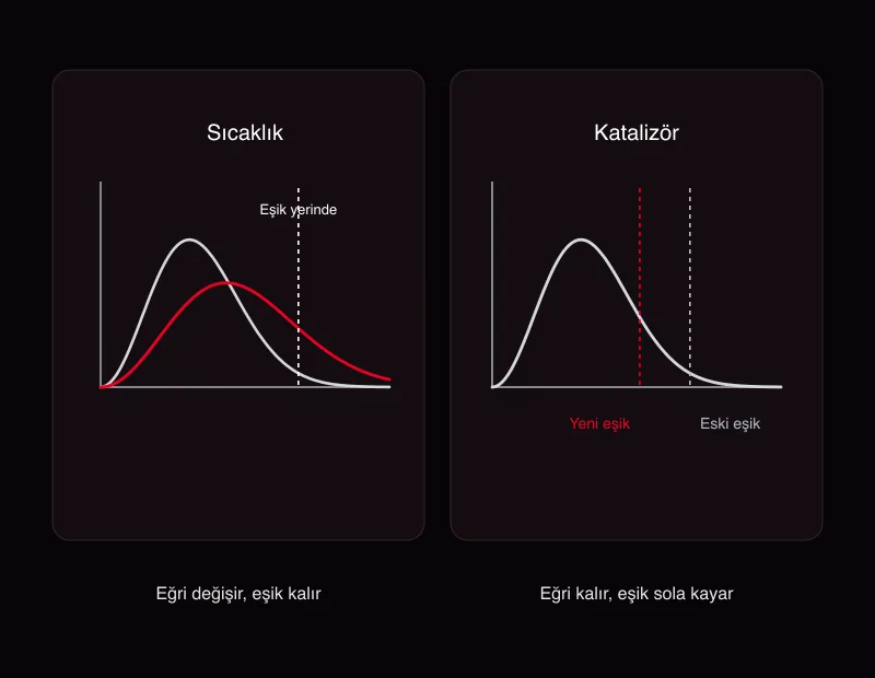Sıcaklık Maxwell-Boltzmann eğrisini yayvanlaştırır; katalizör aynı eğride eşik enerjisi çizgisini sola kaydırır