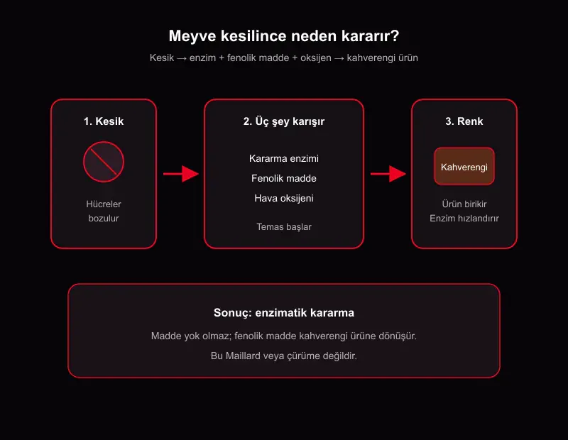 Kesilmiş elma neden kararır akış şeması: kesik, kararma enzimi, oksijen, fenolik madde ve kahverengi ürün