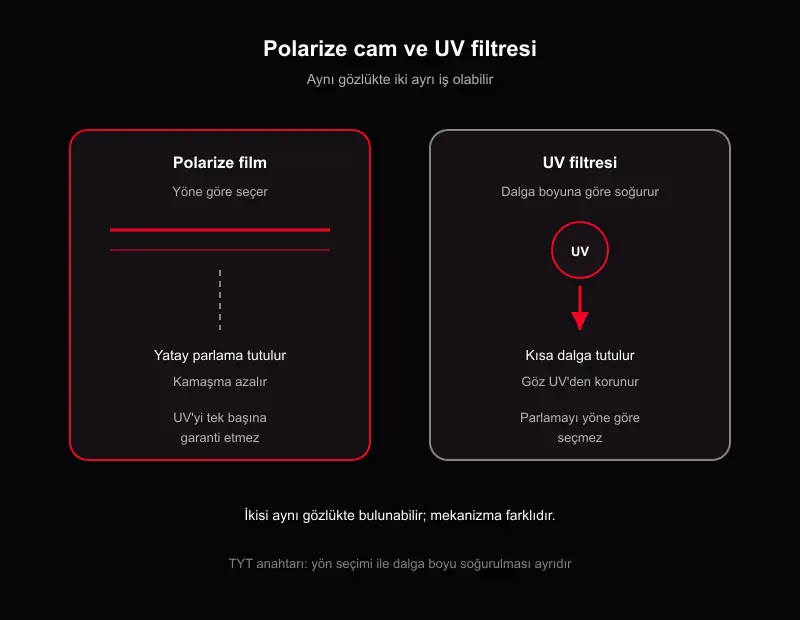 Polarize güneş gözlüğü ve UV filtresi karşılaştırması: yatay parlama soğurulması ile ultraviyole soğurulması farkı