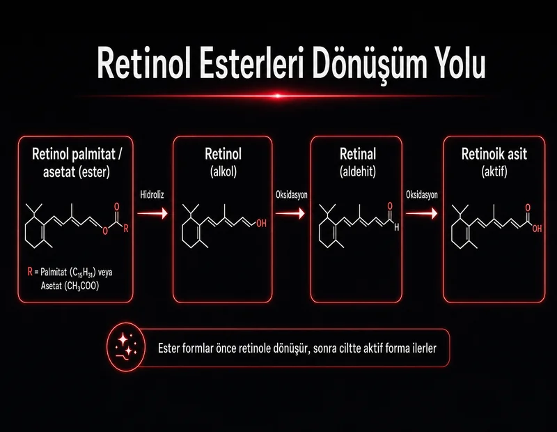 Retinol esterleri dönüşüm yolu şeması; retinol palmitat asetat hidroliz retinol retinal retinoik asit TYT organik kimya diyagramı
