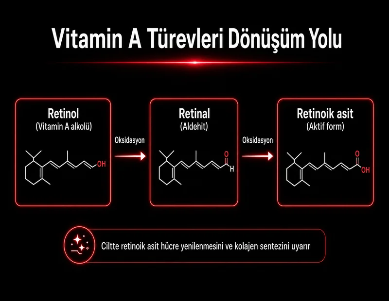Retinol vitamin A dönüşüm yolu şeması; retinol retinal retinoik asit oksidasyon adımları TYT organik kimya diyagramı