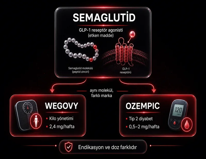 Semaglutid etken madde şeması: GLP-1 agonisti Wegovy kilo yönetimi Ozempic tip 2 diyabet marka ayrımı
