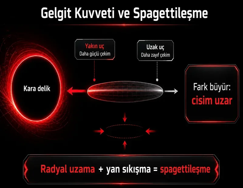 Spaghettification şeması: kara delik yakınında gelgit kuvvetiyle cismin uzaması ve yanlardan sıkışması