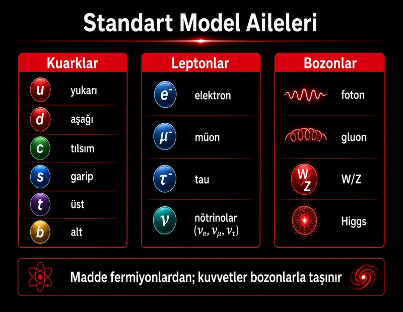Standart Model'de kuark, lepton ve bozon ailelerini gösteren atom altı parçacık şeması