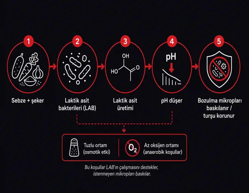 Turşu fermantasyonu şeması: sebze şekeri, laktik asit bakterileri, laktik asit üretimi ve pH düşüşüyle koruma