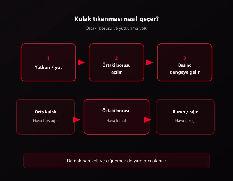 Uçakta kulak tıkanması nasıl geçer: yutkunma Östaki borusunu açar ve orta kulak basıncını dengeler
