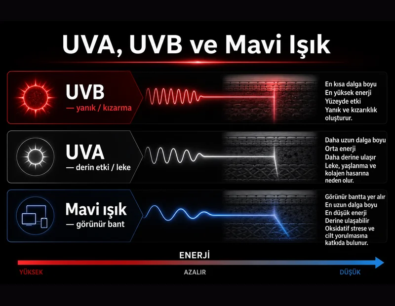 UVA UVB ve mavi ışık farkı şeması: dalga boyu enerji sırası, güneş yanığı UVB, leke UVA, ekran mavi ışık